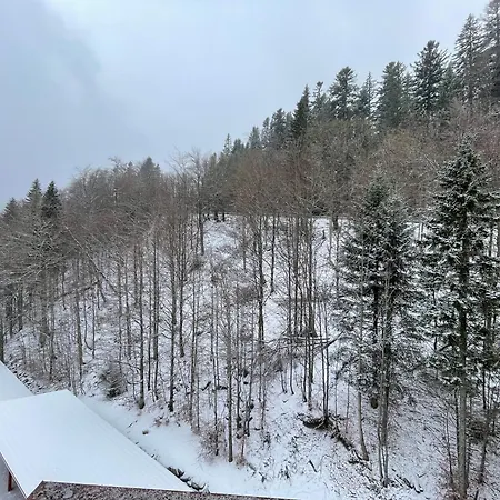 26, Apartmanovy Dom Romantika, Trangoska, Chopok Juh *