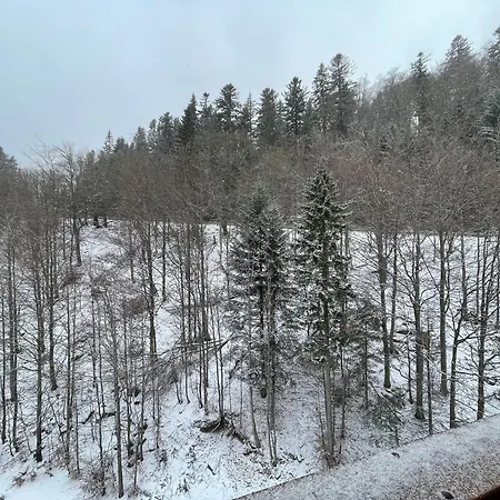 Appartamento 26, Apartmanovy Dom Romantika, Trangoska, Chopok Juh