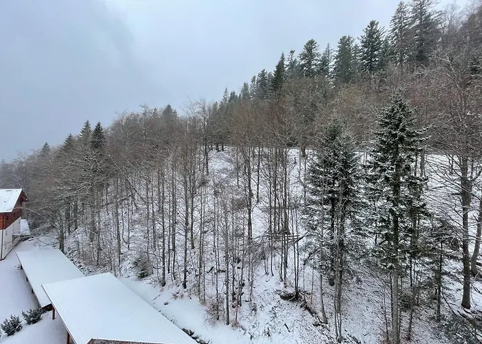 26, Apartmanovy Dom Romantika, Trangoska, Chopok Juh *