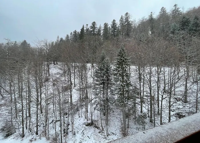 Appartamento 26, Apartmanovy Dom Romantika, Trangoska, Chopok Juh